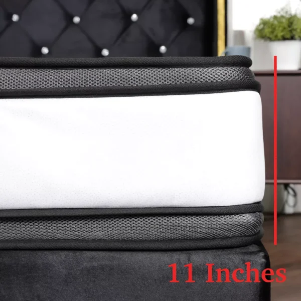 sg-11134253-8258k-mg9f57ddds0db5.webp Dr. Macio Spinores 10" 11" Plush & 12" Promax King / Queen / Super Single / Single Mattress